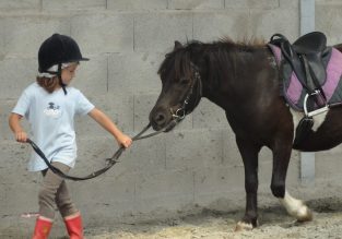 Les Écuries du Lac Bleu