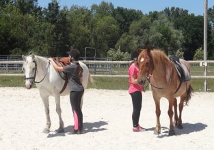 Les Écuries du Lac Bleu