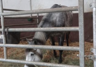 Les Écuries du Lac Bleu