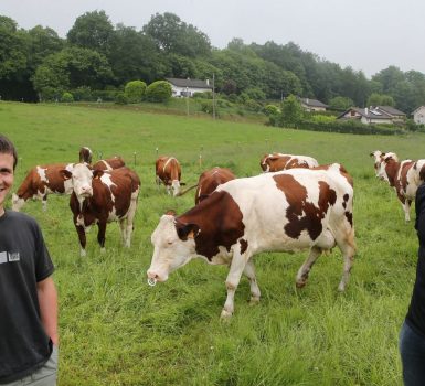 Vente de crèmes glacées au GAEC du Grand Tilleul
