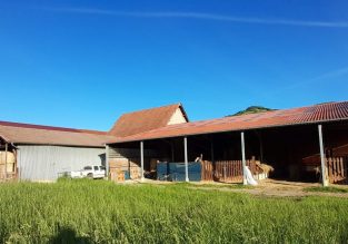 Vente de fromage de chèvre et noix de Grenoble à la ferme de Galerne