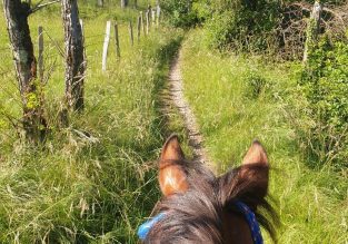 Balade à cheval dans le massif de la Chartreuse