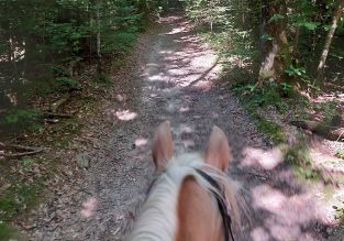 Balade à cheval dans le massif de la Chartreuse