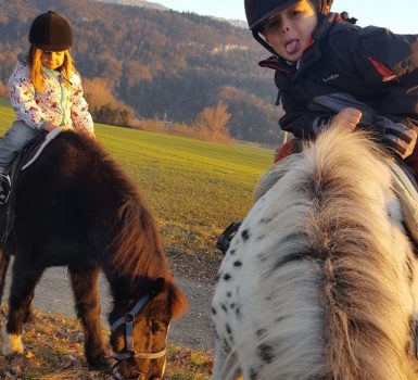 Location de poney : Ses premières foulées en famille