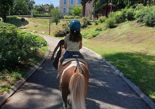 Location de poney : Ses premières foulées en famille
