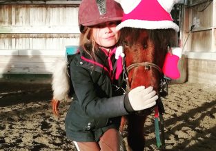 Location de poney : Ses premières foulées en famille