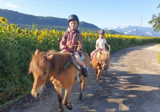 Location de poney : Ses premières foulées en famille