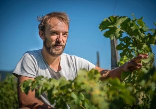 Vente de vin au Domaine Les Alpins