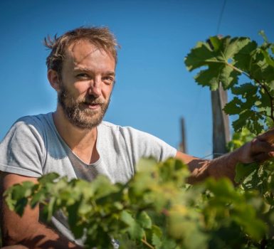 Vente de vin au Domaine Les Alpins