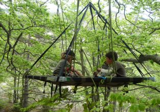 Anniversaire dans les arbres avec Sam’Branche