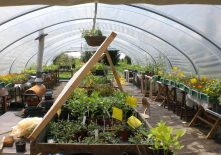 Marché aux Nouveaux Jardins de la solidarité