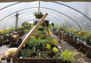 Marché aux Nouveaux Jardins de la solidarité