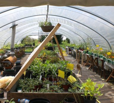 Marché aux Nouveaux Jardins de la solidarité