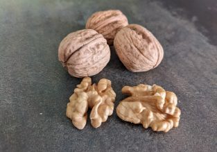 Vente de noix et huile de noix bio à la ferme Guillaume Vial