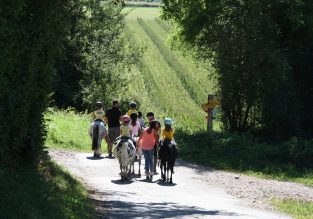 Stage poney et cheval au pied de la Chartreuse