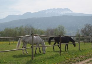 Stage poney et cheval au pied de la Chartreuse