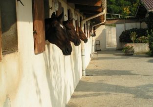 Stage poney et cheval au pied de la Chartreuse
