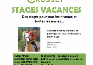 Stage poney et cheval au pied de la Chartreuse