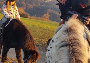 Baptêmes de poney avec les Écuries de Crossey