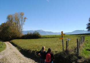 Plans d’eau sauvages du Voironnais