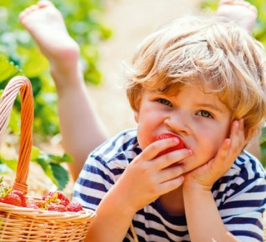 Manger gourmand, local et de saison !