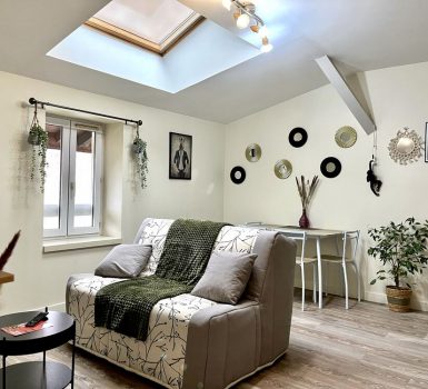 Appartement Le repaire du p’tit chartreux