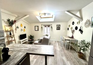 Appartement Le repaire du p’tit chartreux