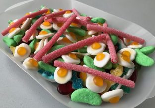 Anniversaire à Plaine Exploration