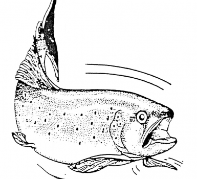 Vente de poissons à la pisciculture du moulin