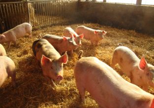Vente de viandes et charcuteries à la ferme le Mont Charvet