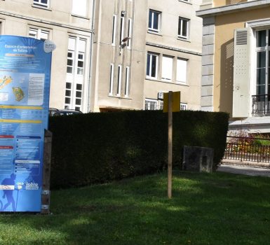 Parcours d’orientation sportif bleu