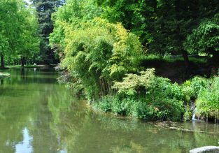 Parcours d’orientation sportif bleu