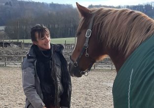 Émotion Cheval : l’équitation autrement
