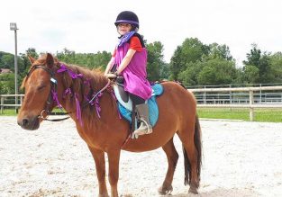 Mes premiers pas avec les poneys à Paladru