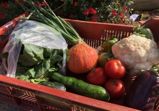 Vente de légumes, de fleurs et d’arbres aux Jardins de la Solidarité
