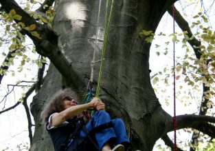 Grimpe d’arbres adaptée aux personnes à mobilité réduite