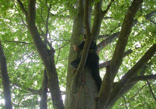 Voyage d’arbre en arbre avec Sam’Branche