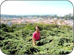 Grimpe d’arbres géants avec Sam’Branche