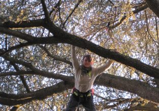 Grimpe d’arbres géants avec Sam’Branche