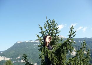 Grimpe d’arbres géants avec Sam’Branche