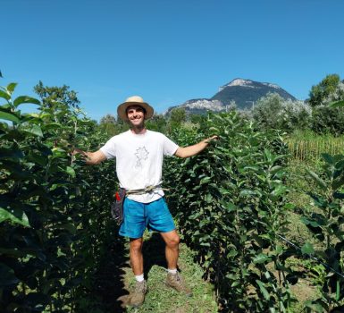 Vente d’arbres à la pépinière des Racines et des Fruits