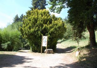 Sentier botanique du parc du Clos des Chartreux