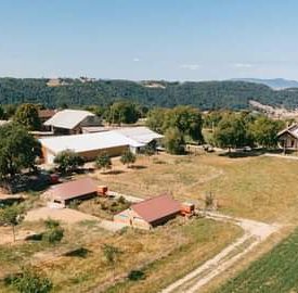 Vente de volailles élevées en plein air à la ferme de la Renounière