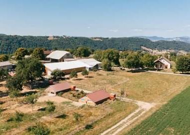 Vente de volailles élevées en plein air à la ferme de la Renounière