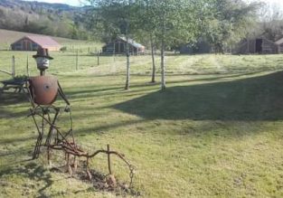 Vente de volailles élevées en plein air à la ferme de la Renounière