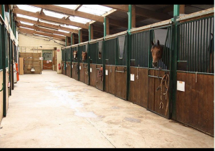 Baptêmes de poney avec les Écuries de Crossey