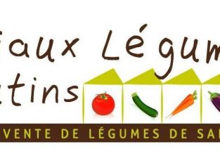 Vente de légumes aux Biaux Légumes Massieutins