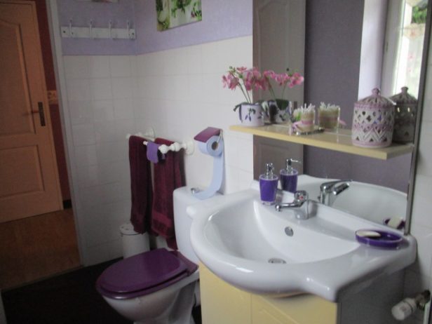 toilette violette