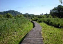 Traces et indices des mammifères