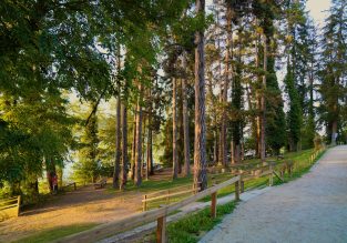 Aire de détente Le Bois d’Amour